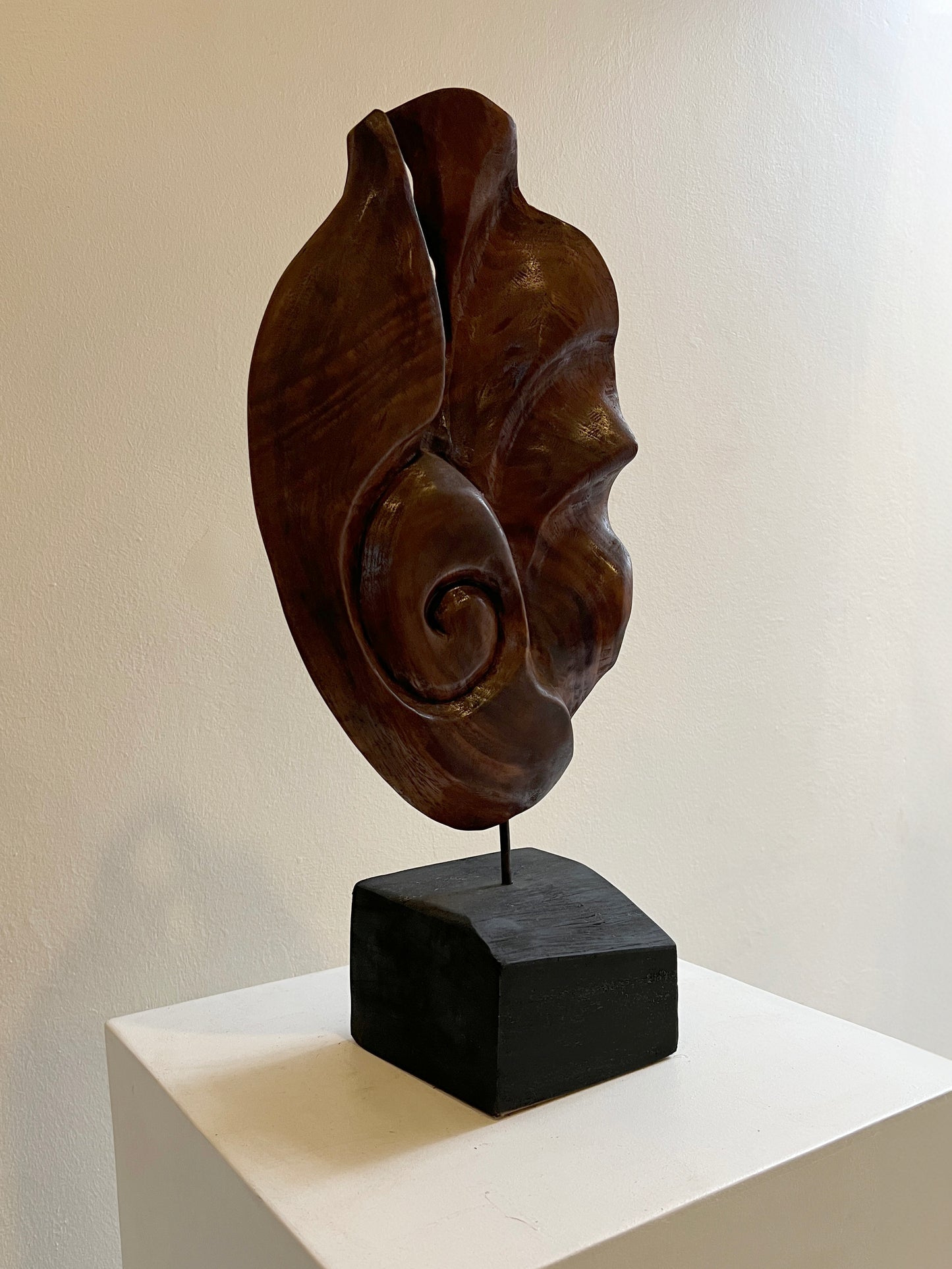 Capullo de mar - Mario Sánchez