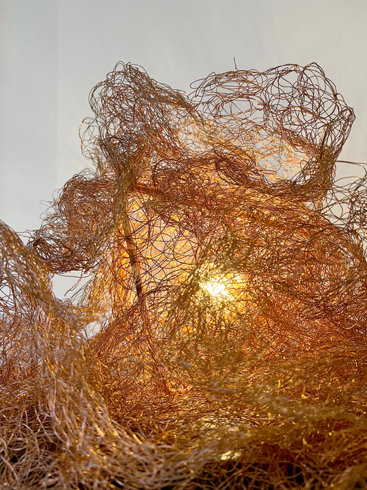 Identidad - Alessandra Sequeira