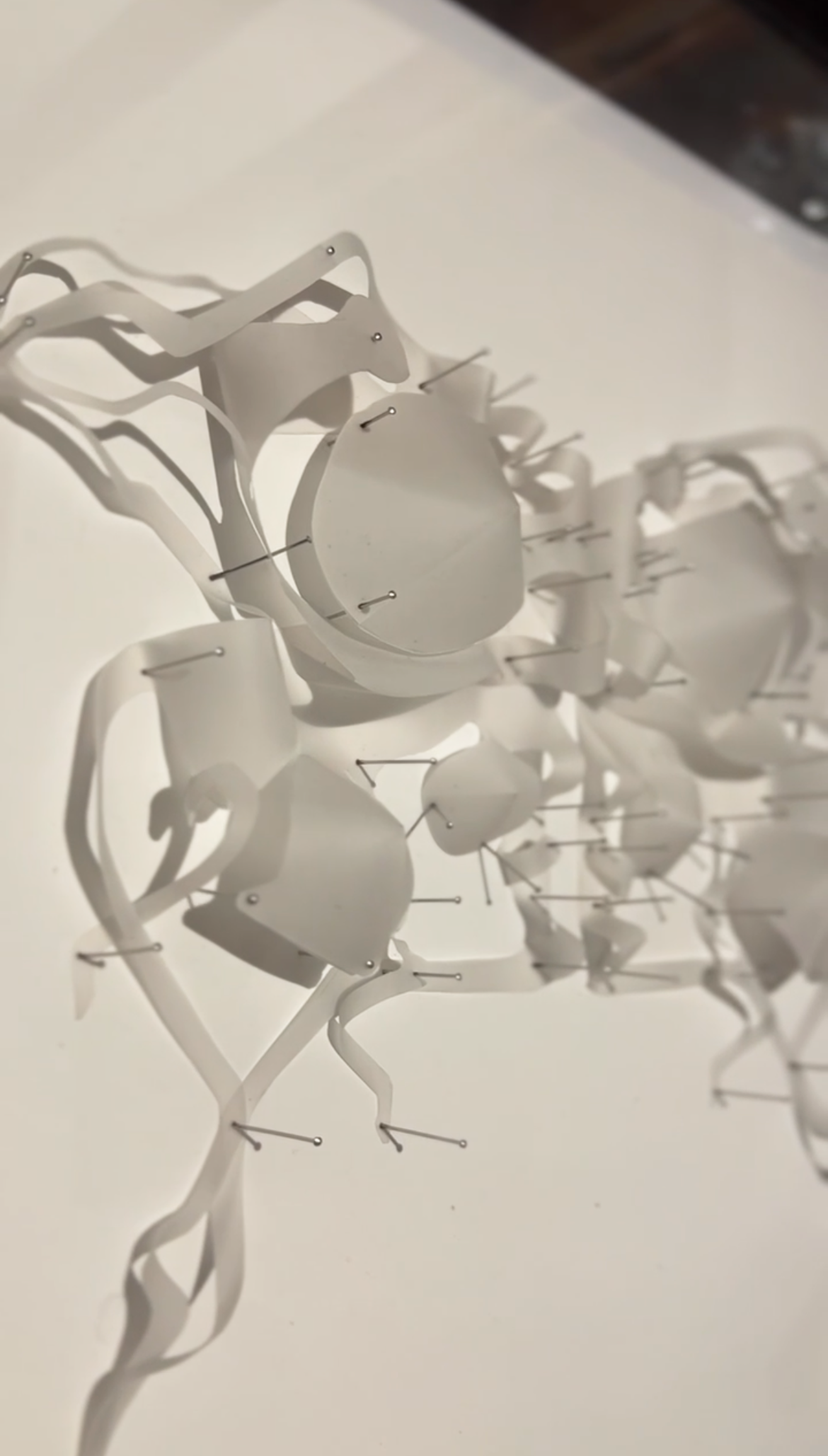 Atraparse I - Alon Campos