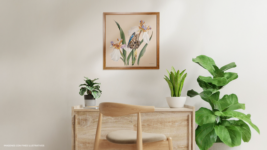 Flor de un día - Majo Rodríguez