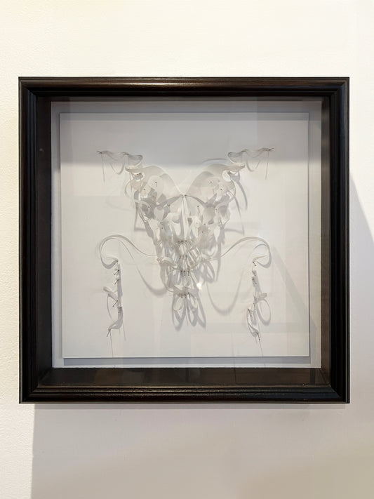 Atraparse IV - Alon Campos