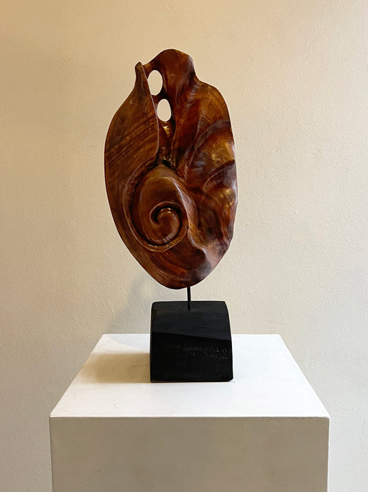 Capullo de mar - Mario Sánchez