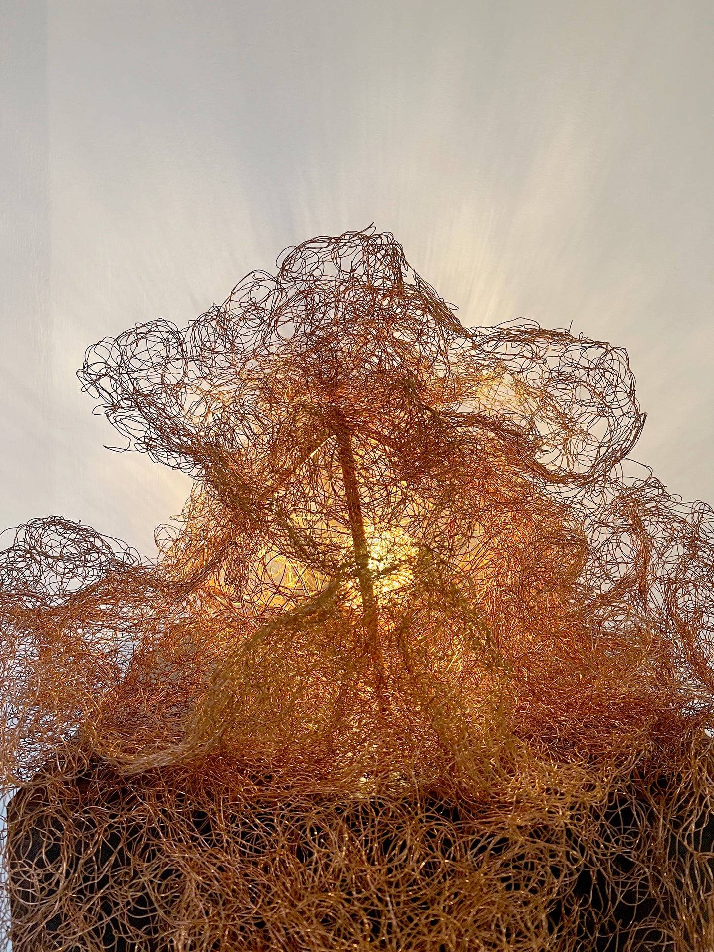 Identidad - Alessandra Sequeira