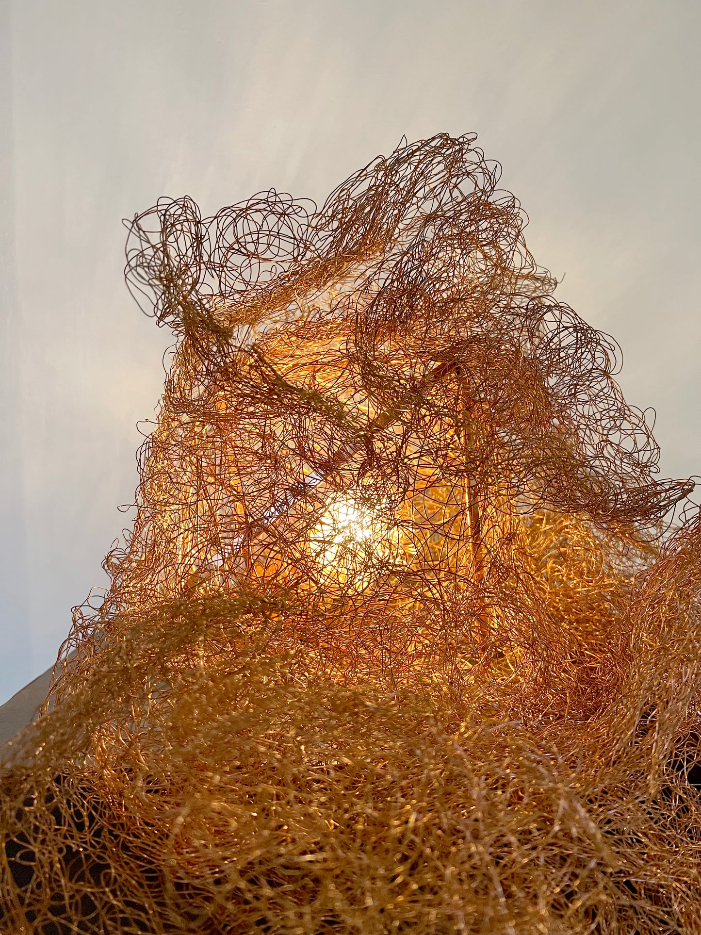 Identidad - Alessandra Sequeira