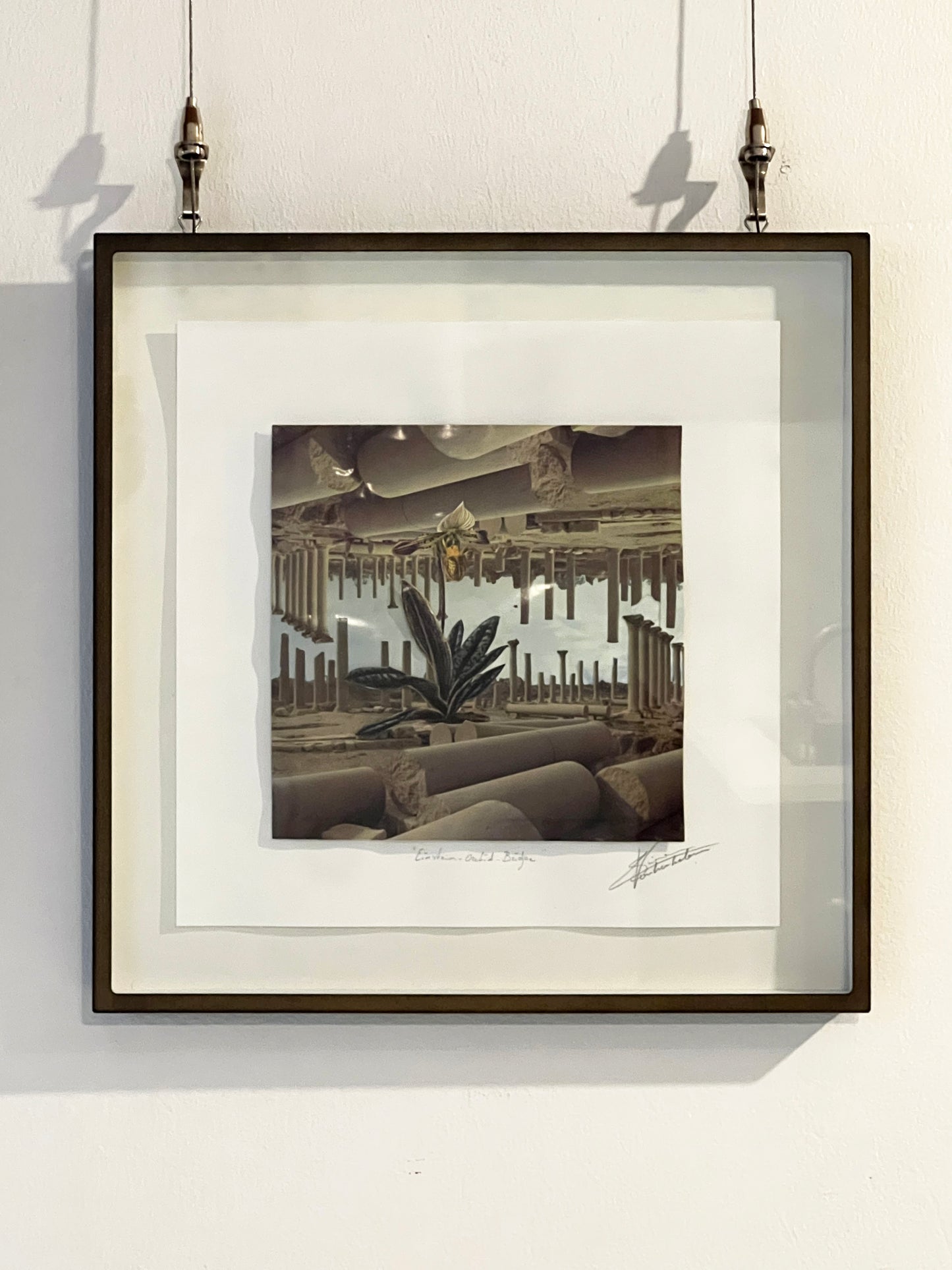 Einstein-Orchid-Bridge - Simon Vanheukelom