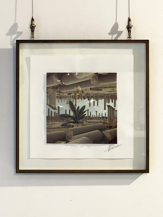 Einstein-Orchid-Bridge - Simon Vanheukelom