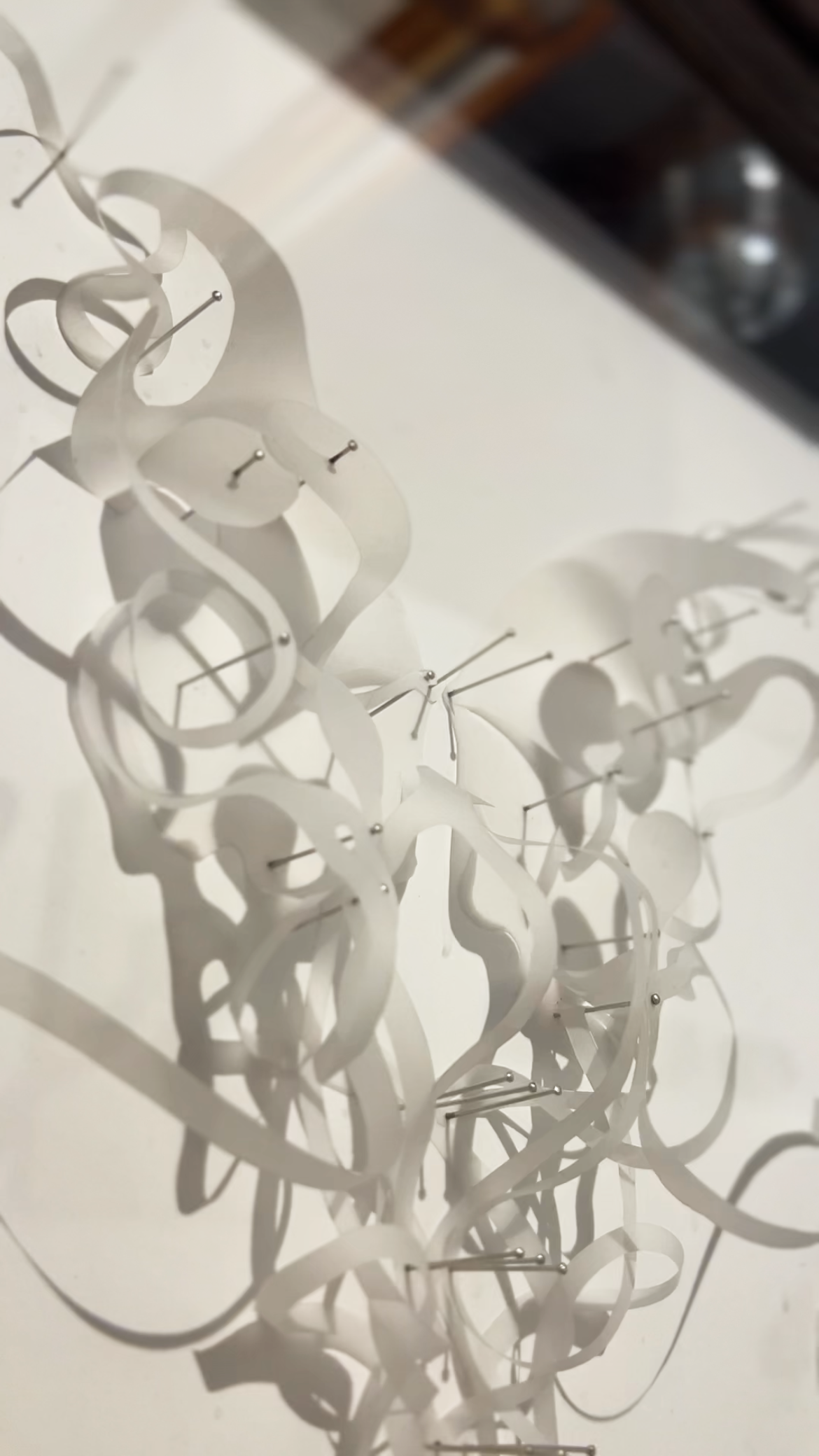 Atraparse IV - Alon Campos